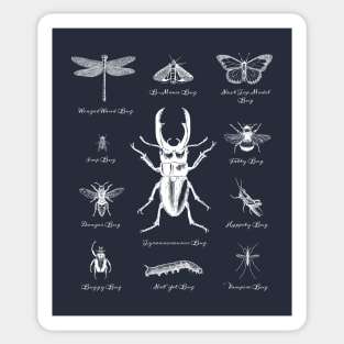 Bugs Beetles Insects Sticker